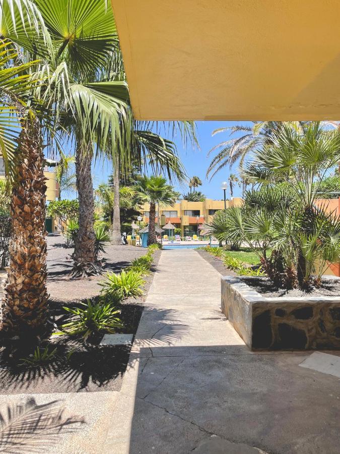 Seaside Apartment Corralejo : A Cozy Holiday Home In A Peaceful Well Located Green Complex Exteriör bild
