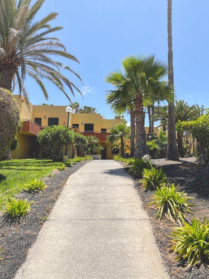 Seaside Apartment Corralejo : A Cozy Holiday Home In A Peaceful Well Located Green Complex Exteriör bild